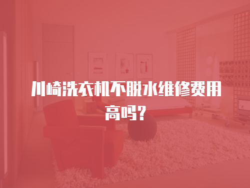 川崎洗衣機不脫水維修費用高嗎？