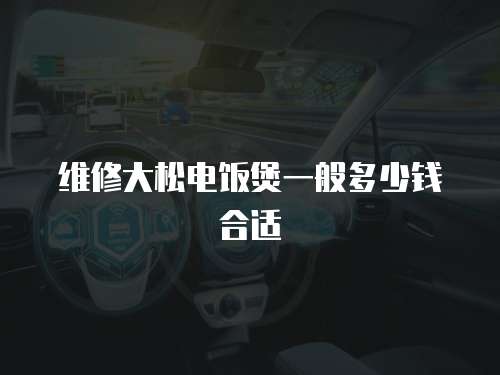 維修大松電飯煲一般多少錢合適