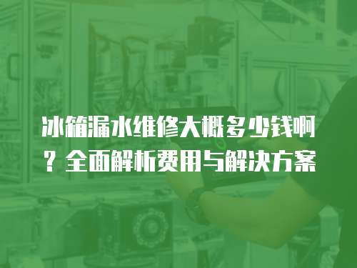 冰箱漏水維修大概多少錢啊？全面解析費用與解決方案