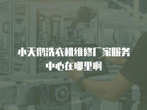 小天鵝洗衣機維修廠家服務中心在哪里啊