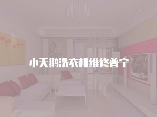 小天鵝洗衣機維修普寧
