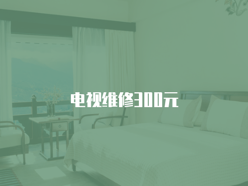 電視維修300元