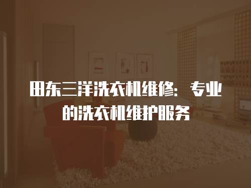 田東三洋洗衣機(jī)維修：專業(yè)的洗衣機(jī)維護(hù)服務(wù)