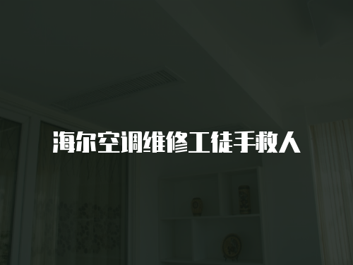 海爾空調維修工徒手救人