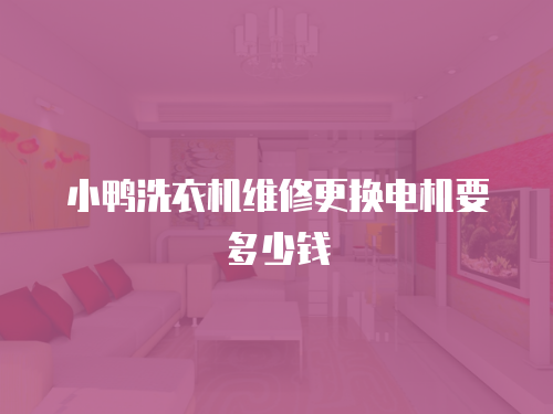 小鴨洗衣機維修更換電機要多少錢