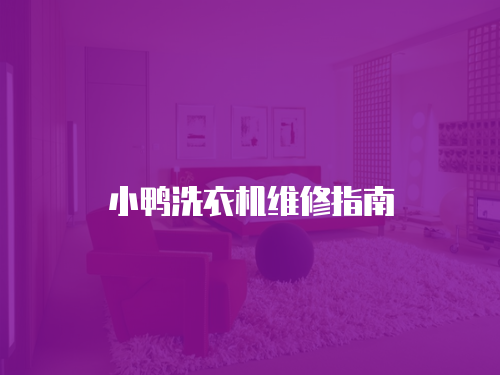 小鴨洗衣機維修指南