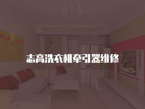 志高洗衣機(jī)牽引器維修