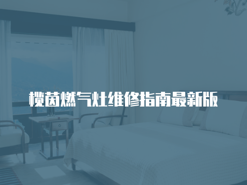 欖茵燃氣灶維修指南最新版
