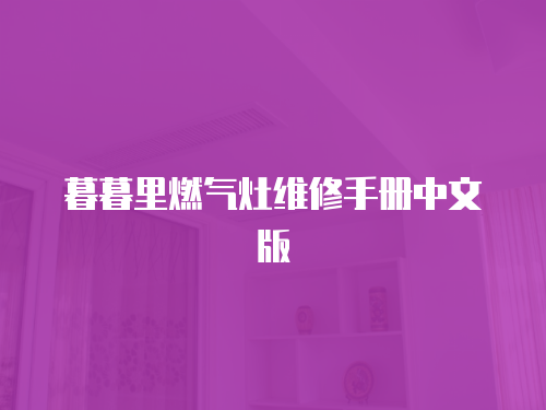 暮暮里燃?xì)庠罹S修手冊(cè)中文版