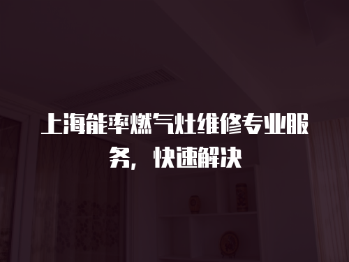 上海能率燃氣灶維修專業(yè)服務(wù)，快速解決